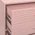 Lady Jillian -  Chest of Drawers Pink 80x35x101,5 cm Steel